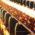 Heat-Resistant Conveyor Belt for Gas Works